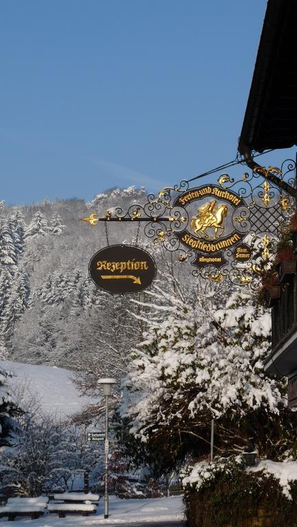 Ringhotel Siegfriedbrunnen Grasellenbach Exterior foto