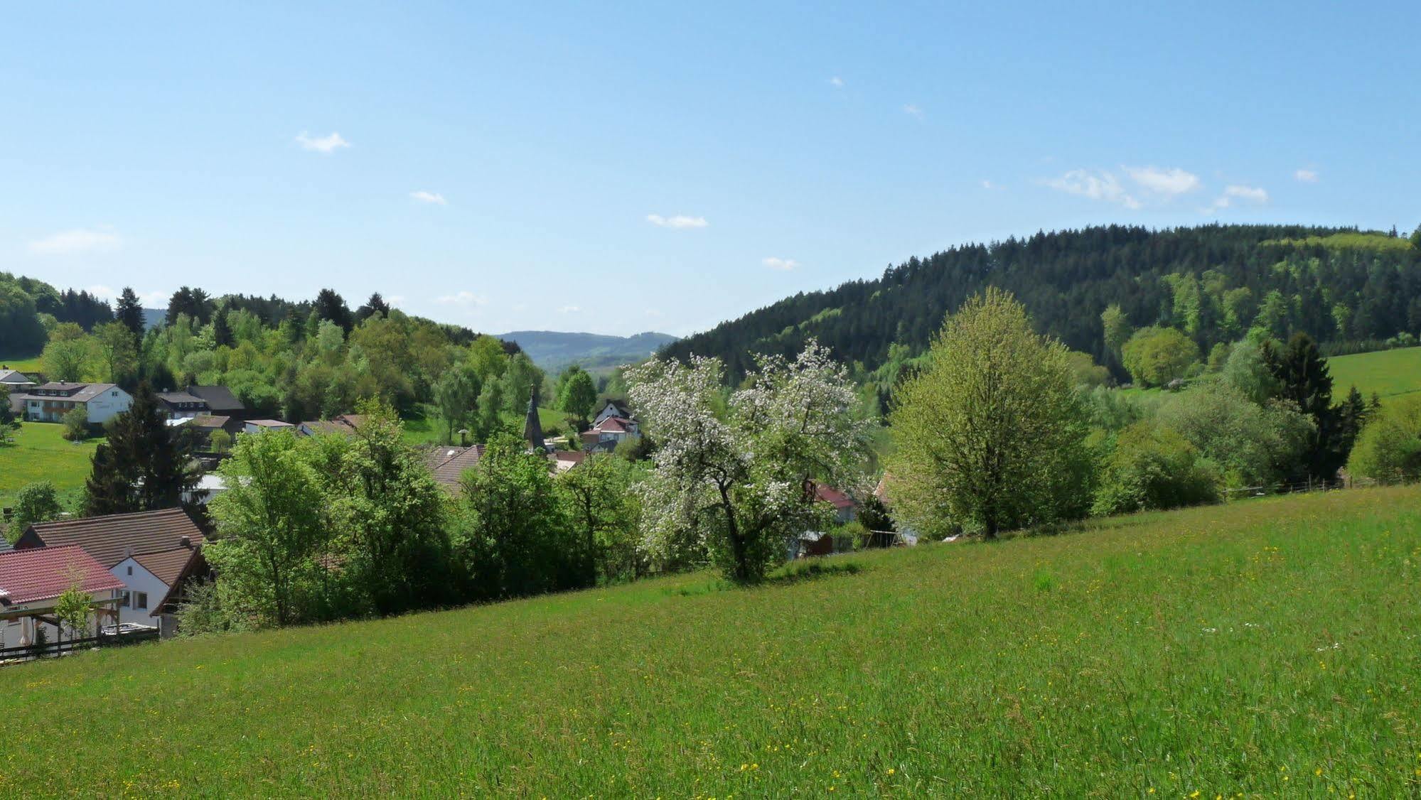 Ringhotel Siegfriedbrunnen Grasellenbach Exterior foto